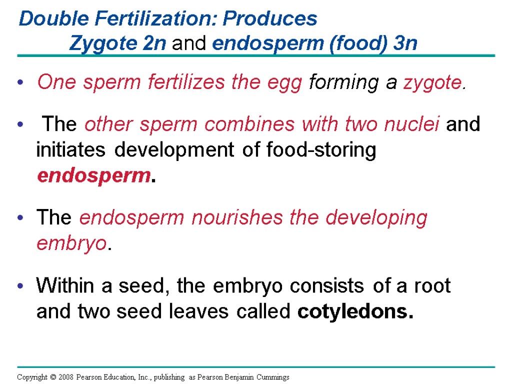 One sperm fertilizes the egg forming a zygote. The other sperm combines with two
